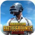 pubgmobile国际服手游下载官网版