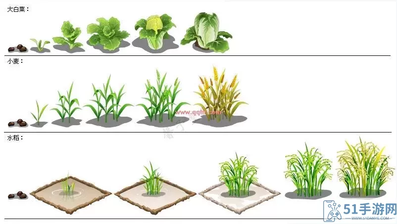 卡通农场收不到邮箱验证码 卡通农场换绑邮箱