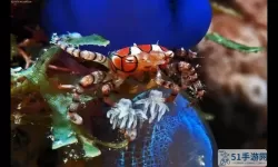 深海水族馆米点箱鲀怎么得？深海水族馆米点箱鲀获取