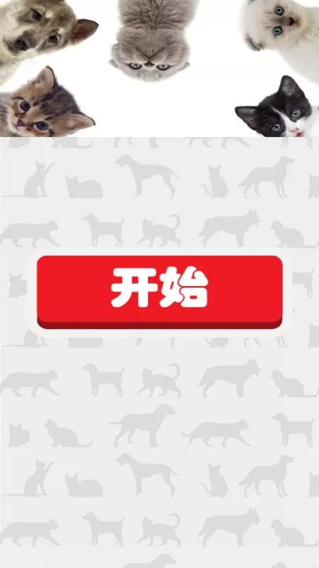 猫猫狗狗翻译器手机版下载