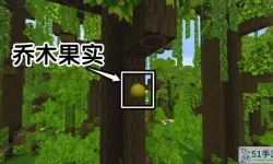 《迷你世界》果树获取方式介绍