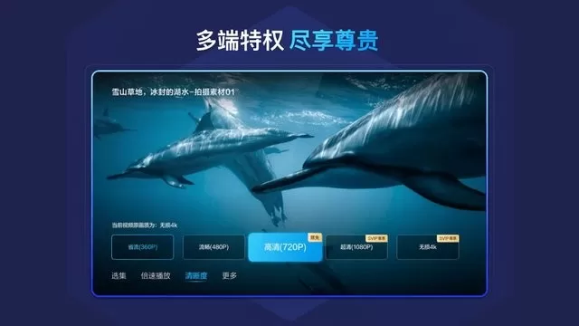 百度网盘tv版官方版下载