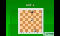 大部分国际象棋残局全集