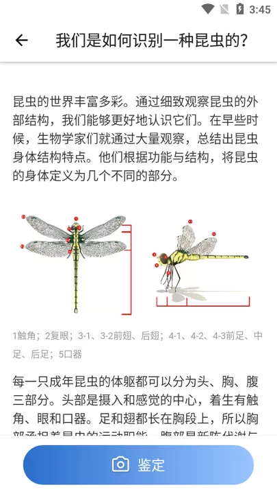 Picture Insect手机版下载