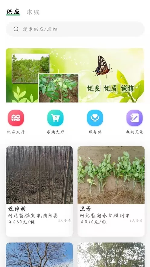 苗木联盟下载最新版