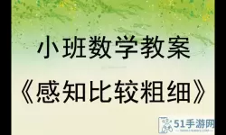 拼拼乐中班教案