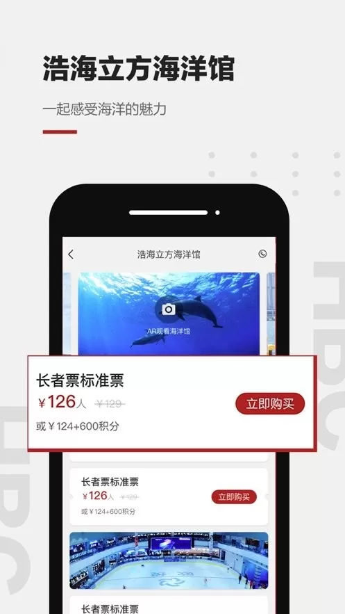 海滨城正版下载