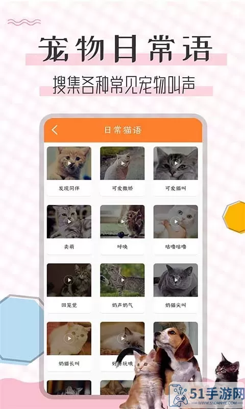 猫语翻译宝下载app