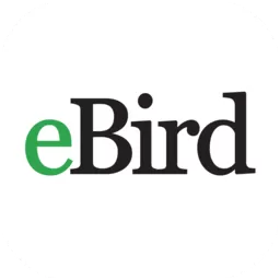 eBird下载新版